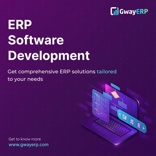 Top ERP Custom Software Companies